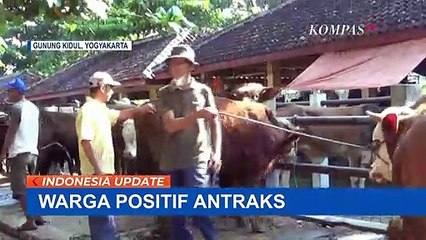 Antraks Penyakit Menular Mematikan