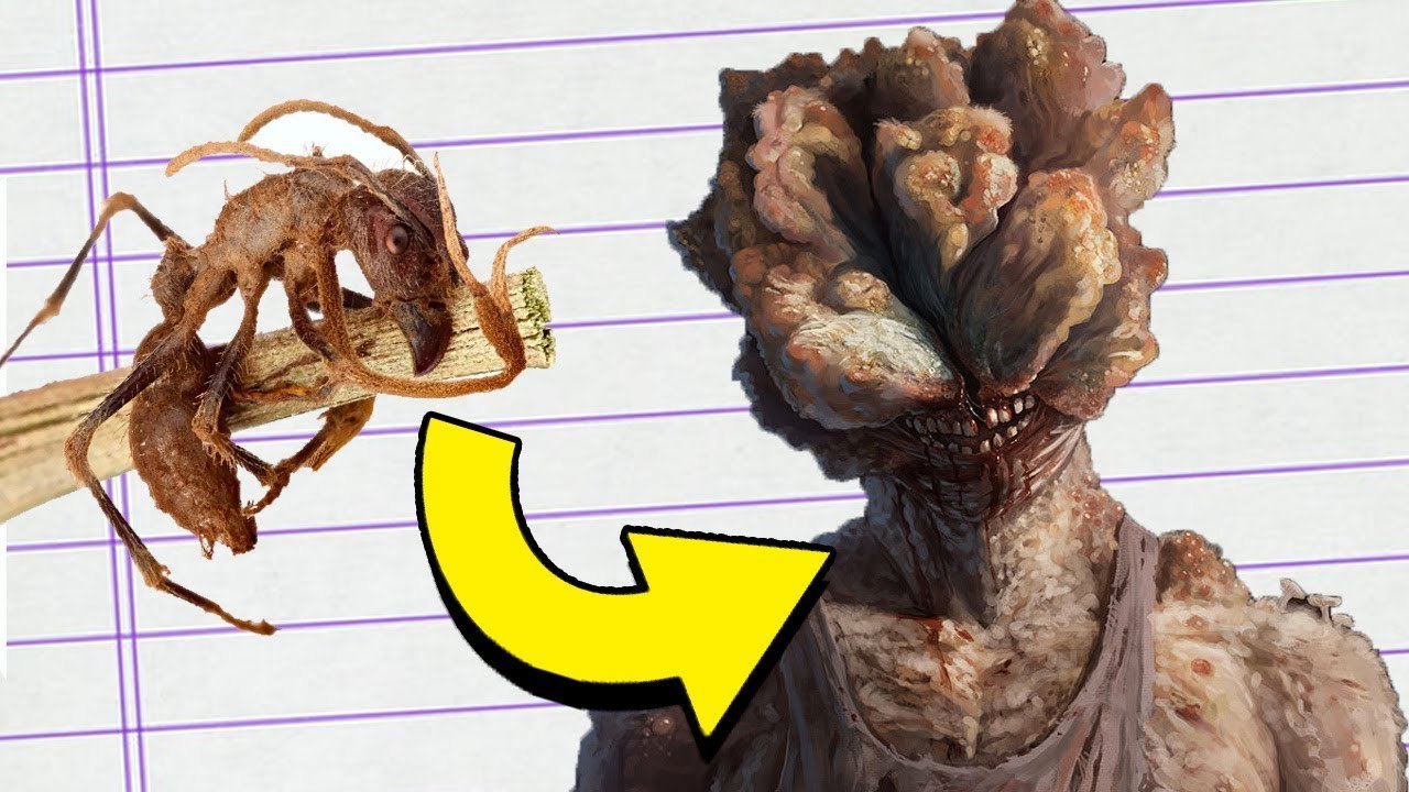 Ten PASOŻYT zmienia mrówki w ZOMBIE