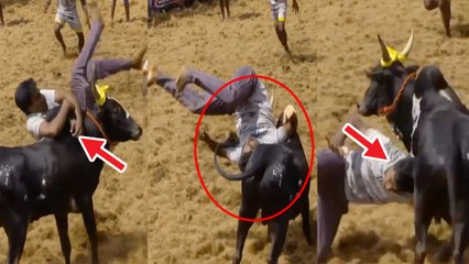 அவனியாபுரத்தில் ஜல்லிக்கட்டில் மிரட்டிய காளைகள் | Avaniyapuram Jallikattu 2020