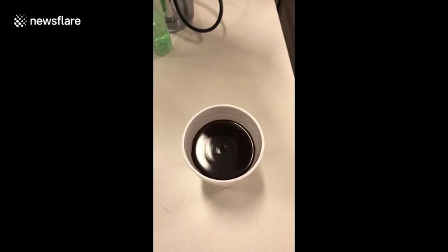 Incredible rotating vibrations in this cup of coffee are oddly satisfying