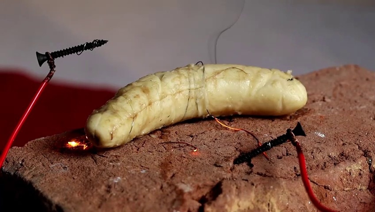 220 Volt Electricity Vs. Fruits Experiment_# MR SGR HECKER