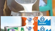 ಗ್ರಾಹಕರಿಗೆ ಶಾಕ್ ಕೊಟ್ಟ KMF | KMF | NANDINI MILK | ONEINDIA KANNADA