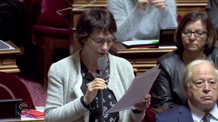 Nadine Grelet-Certenais  : question d'actualité du 15 janvier 2020