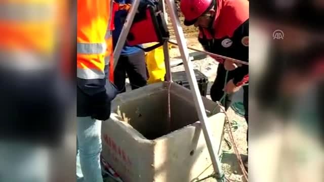 Kanalizasyon kuyusuna düşen kedi AFAD ekiplerince kurtarıldı