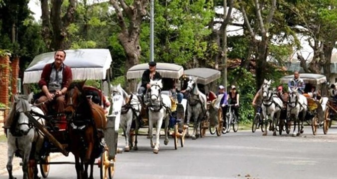 İBB, Adalar'daki fayton ve atları 75 milyon TL'ye kamulaştıracak