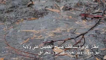 الامطار تتساقط أخيرا على استراليا وتساهم في إخماد الحرائق