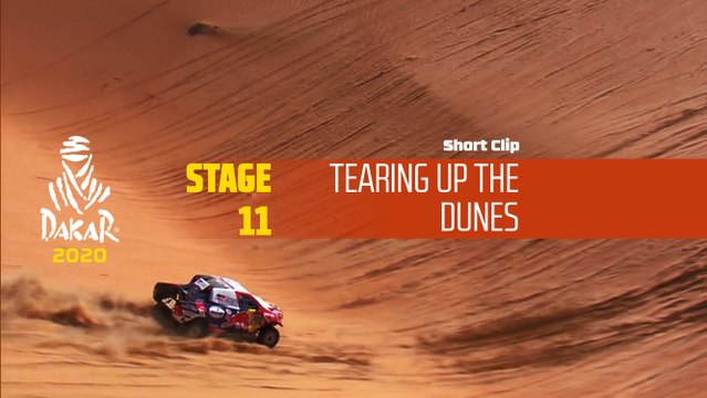 Dakar 2020 - Étape 11 / Stage 11 - Tearing up the dunes