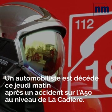 Automobiliste décédé; Hibou grand-duc criblé de plombs; Municipales à Fréjus: voici votre brief info de ce jeudi après-midi