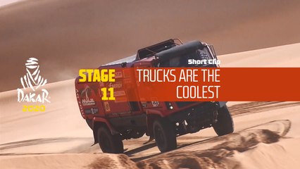 Dakar 2020 - Étape 11 / Stage 11 - Cool truck