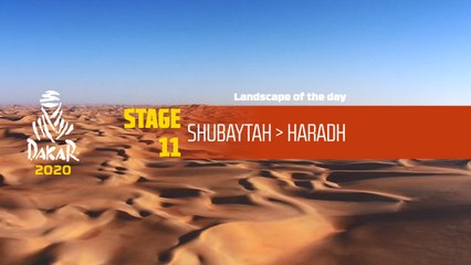 Dakar 2020 - Étape 11 / Stage 11 - Landscape of the day