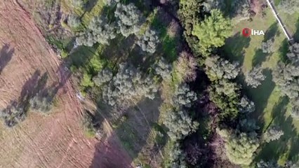 Kaybolan yaşlı adamı aramalar havadan ve karadan devam ediyor