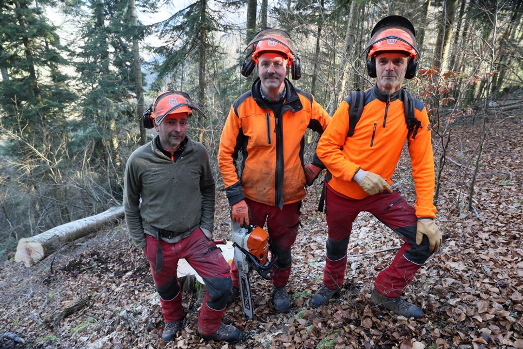 Pas de pénibilité pour les bûcherons communaux