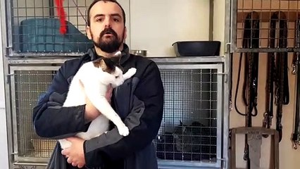 Adopter un animal : la procédure à la Société Lorraine de protection des animaux