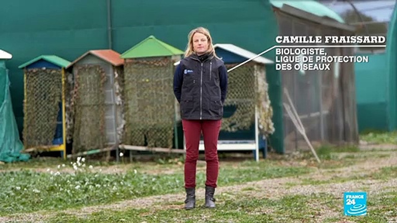 Quand la lumière pollue