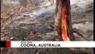 10 milyon hektarlık bölgesi yanan Avustralya yağmurla nefes aldı