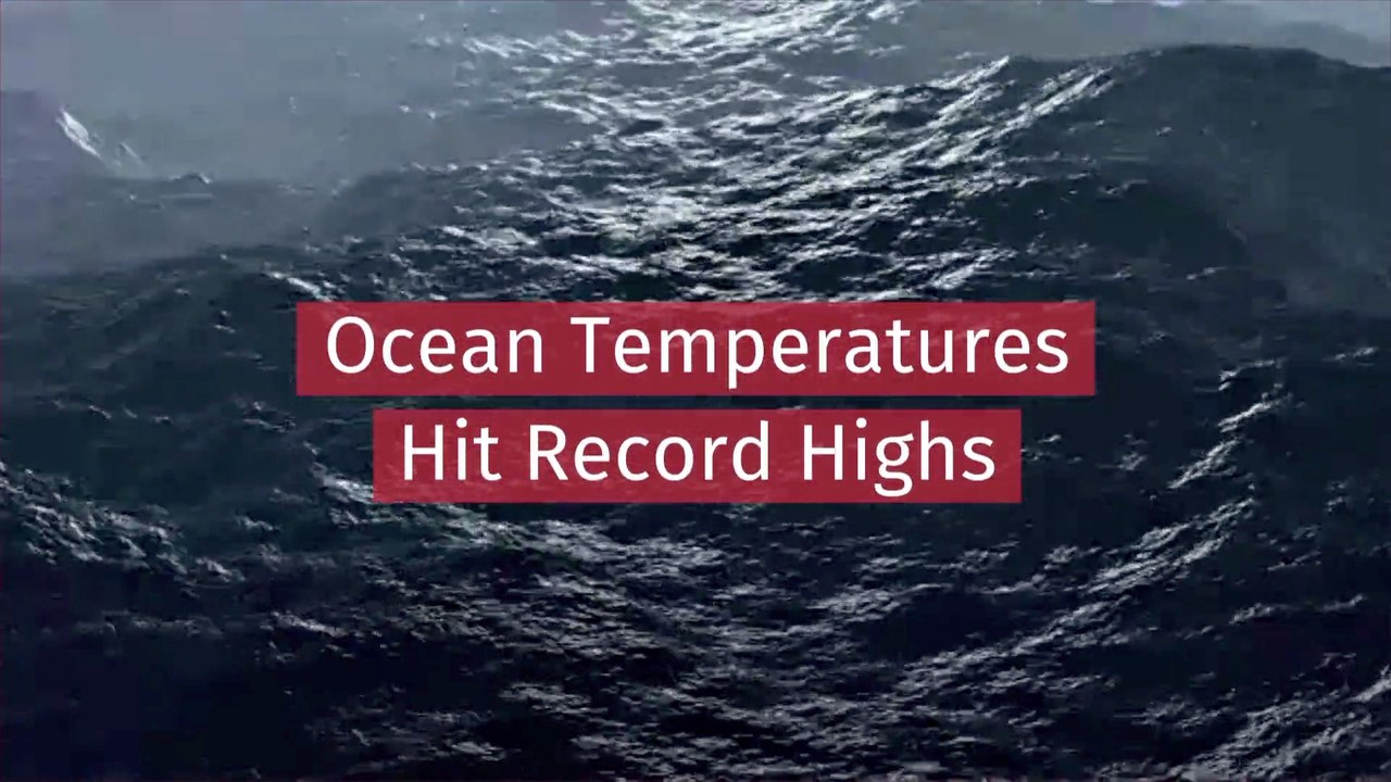 The Oceans Are In Danger