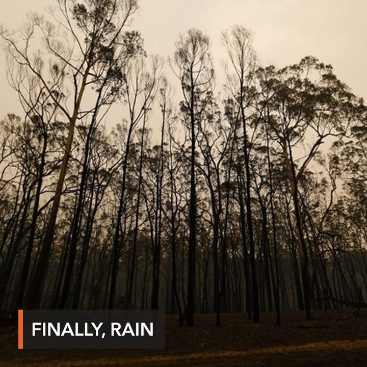 Relief as rain falls over Australian bushfires