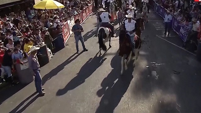 bd-agenda-de-actividades-160120