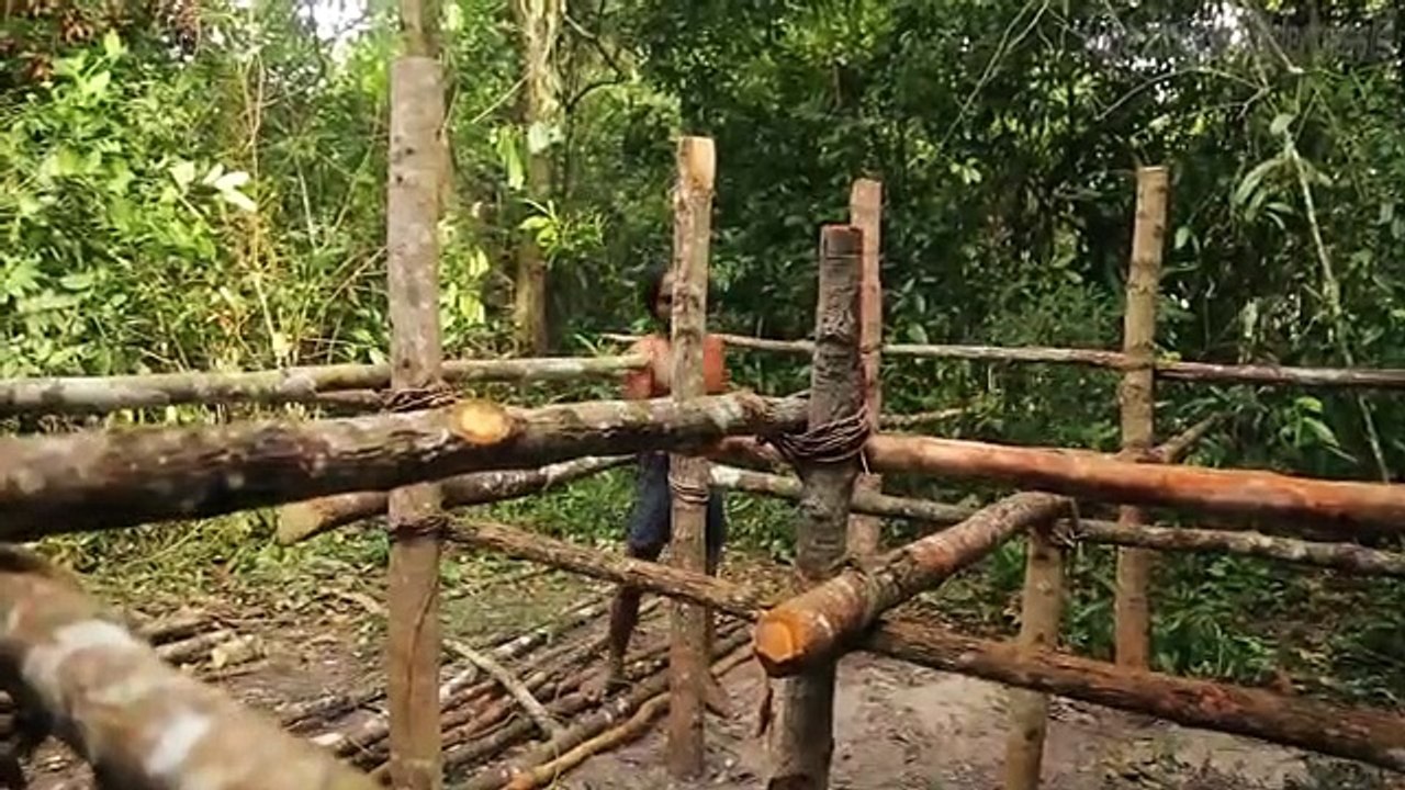 Jungle made underground swimming pool