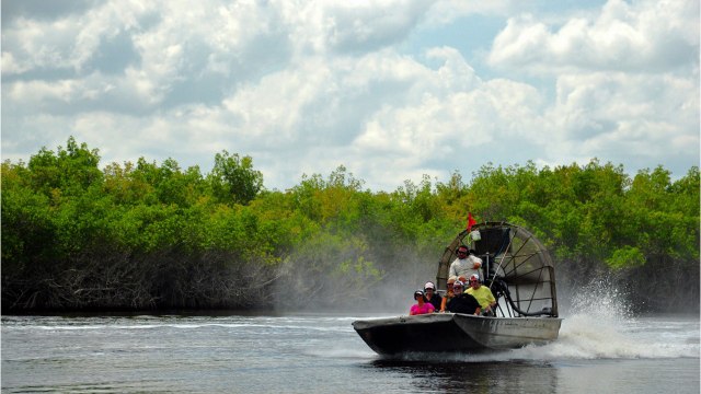 Florida Agrees To Purchase 20,000 Acres Of Everglades To Safeguard It From Oil Drilling