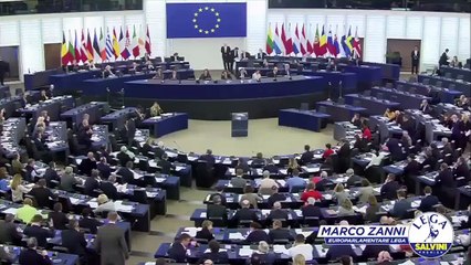 Marco Zanni - L’Ue non vuole le bandiere delle nazioni sui banchi (16.01.20)