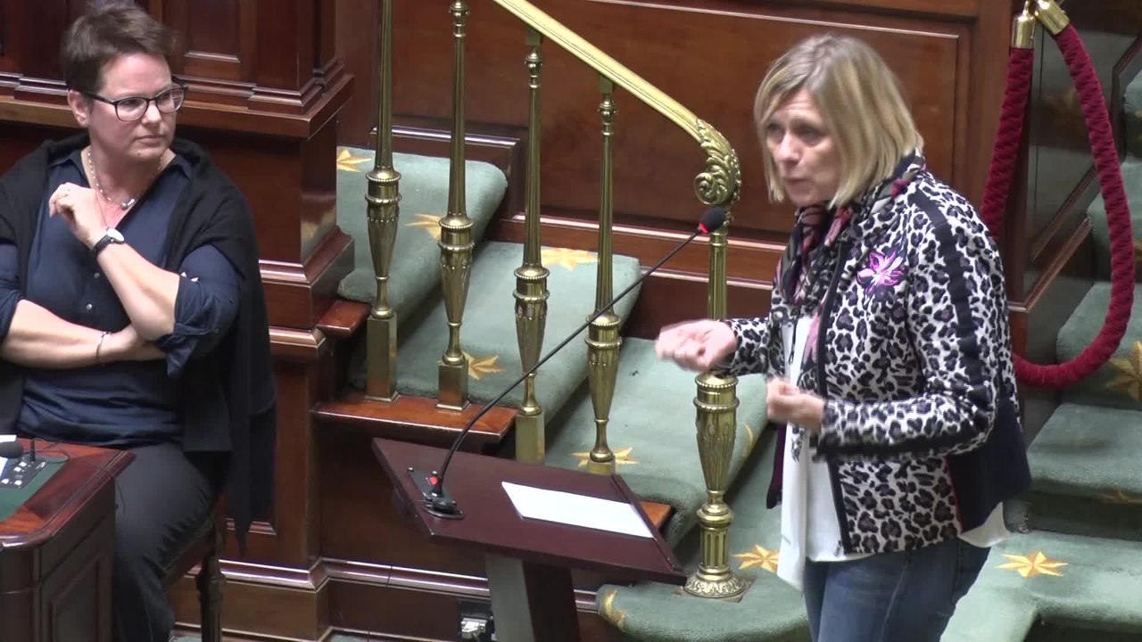 Suppression de maternités: Eliane Tillieux (PS) intervient à la Chambre