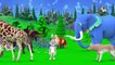 जादुई तालाब Hindi Kahaniya - Magical Pond Hindi Moral Stories - 3D Animated Fairy Tales