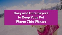 Cozy and Cute Layers to Keep Your Pet Warm This Winter