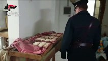 Pane e prodotti da forno venduti in strada, raffica di sequestri nel Napoletano (14.01.20)
