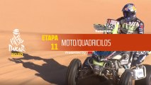 Dakar 2020 - Etapa 11 (Shubaytah / Haradh) - Resumen Moto/Quadriciclos