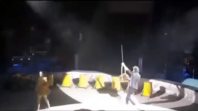 Ce castor réserve une vilaine surprise aux spectateurs d'un cirque !