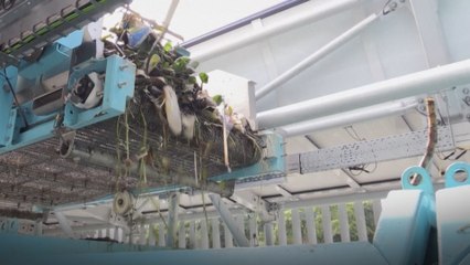 Giant plastic interceptor tackles ‘floating landfill’ on Malaysia’s Klang River