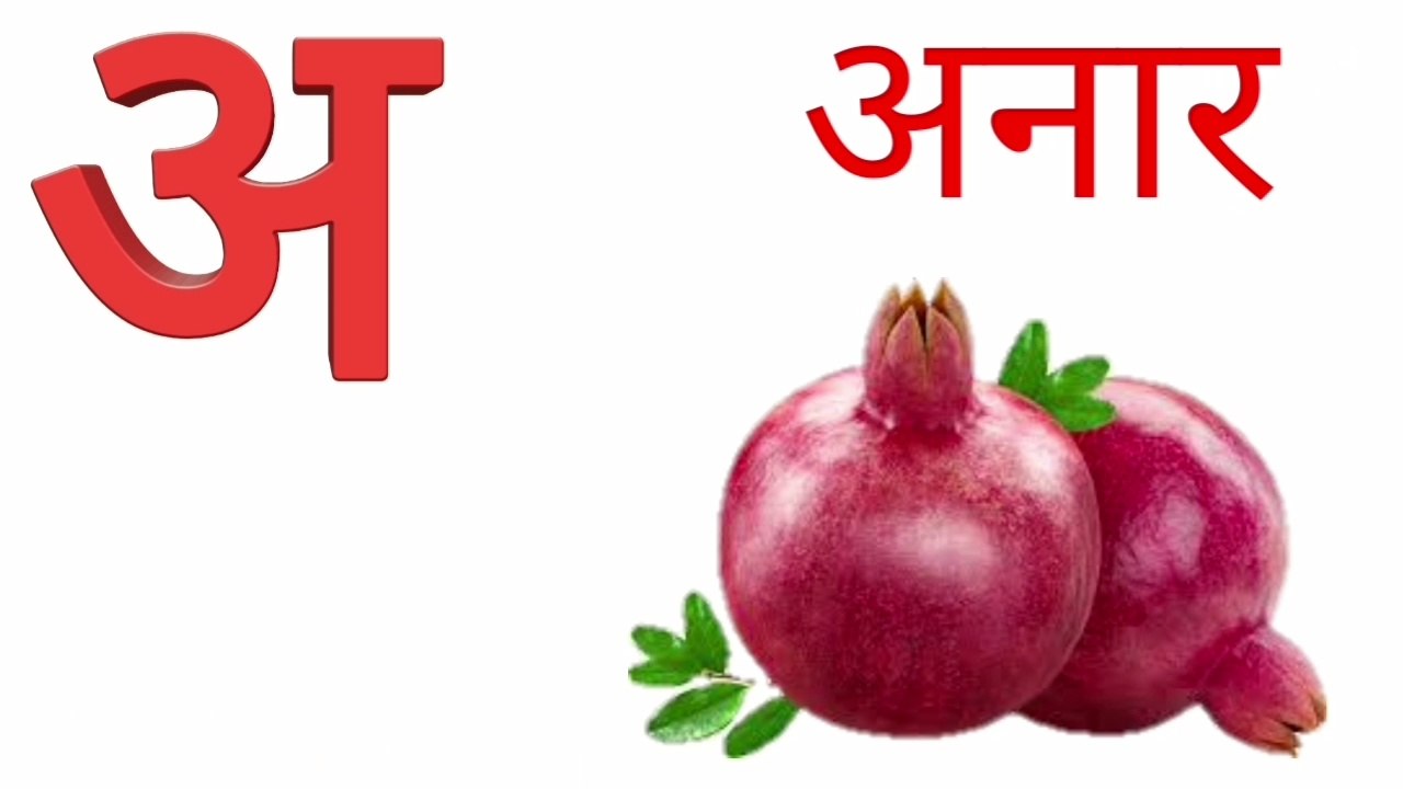 अ से अनार,हिन्दीवर्णमाला, हिन्दीस्वर, अ आ इ, क से कबूतर,k se kabutar kha se khargosh, k se kabutar hindi varnamala, k se kabutar uda rahe, k se kabutar k k k, k se kabutar kha se khargosh song, k se kabutar rhymes, k se kabutar udta hai, k se kabutar kha