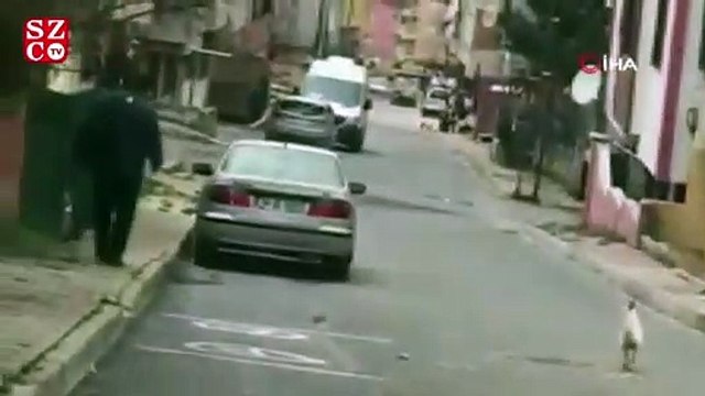 Horozun kendisine taş atan postacıdan intikam aldığı anlar kamerada