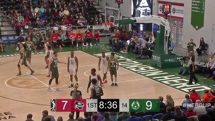 Dragan Bender (23 points) Highlights vs. Erie BayHawks