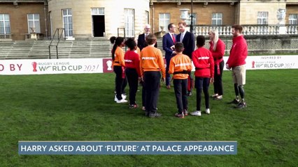 Prince Harry Was Asked About His 'Future' at First Palace Appearance Since His Royal Exit