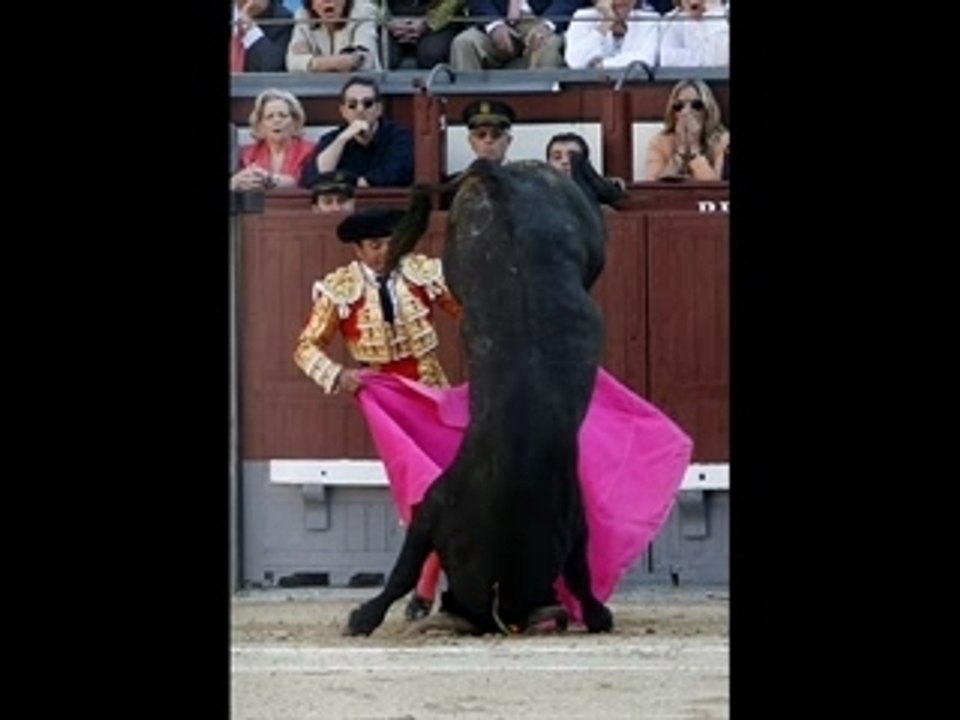 SAN ISIDRO 2007, 22ª FERIA
