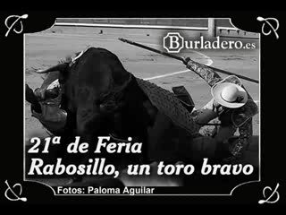 SAN ISIDRO 2007, 21ª FERIA