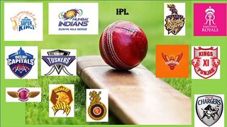 IPL  - STANDINGS 2008 to 2019 : Indian Cricket Premier League