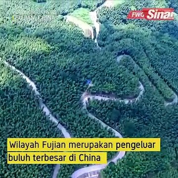 Penyepit buluh warisan budaya di Fujian