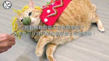 CollectionVideo-petmao_curation-copy1-PetsMaoParser-2020/01/17-09:30