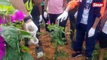 Kuantan diperindah dengan pokok kertas