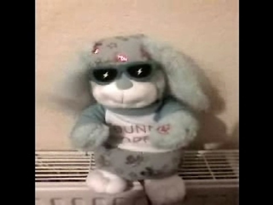 LAPIN FUNNY