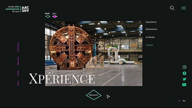 Site internet du Musée d'Art Contemporain de Lyon