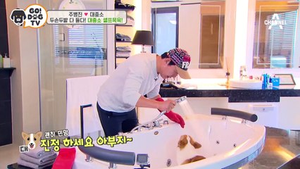 [고독TV] 극한직업＊대중소 아빠＊로 살아남기 | 개밥주는 남자