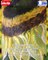 Hand Painted Sun Flowers on Tissue dupataa/How To Paint/ fabric painting /Acrylic Painting/Painting Tutorial