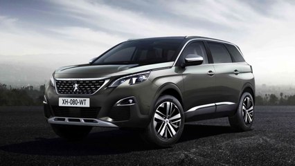 [기업] 푸조, 내한공연 예술가에게 의전 차량 지원 / YTN