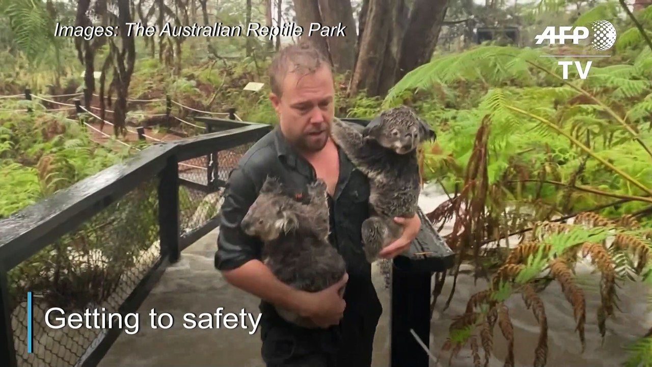 Downpour triggers flash floods at Australian zoo