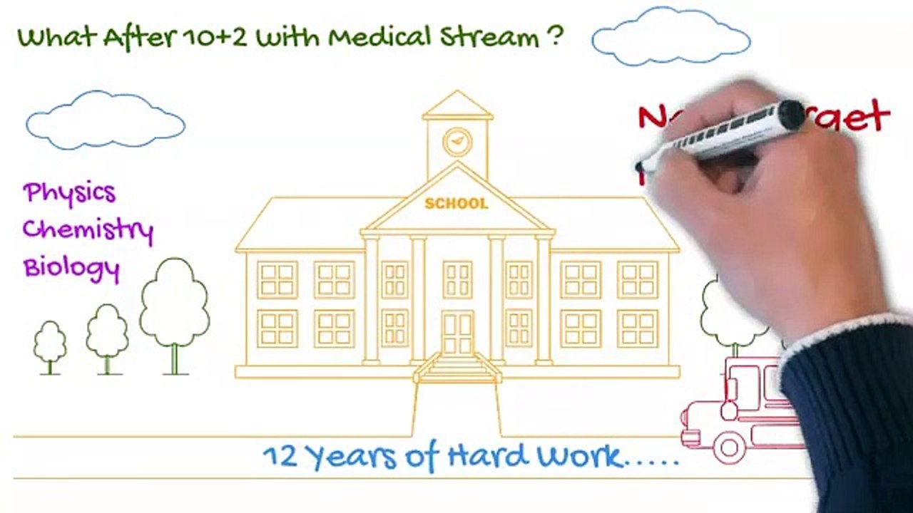 After NEET 2020-Opportunities?