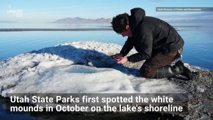 Otherworldly Mineral Mounds Pop Up on Utah Shoreline